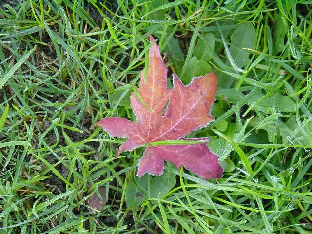 Picture 024.jpg
